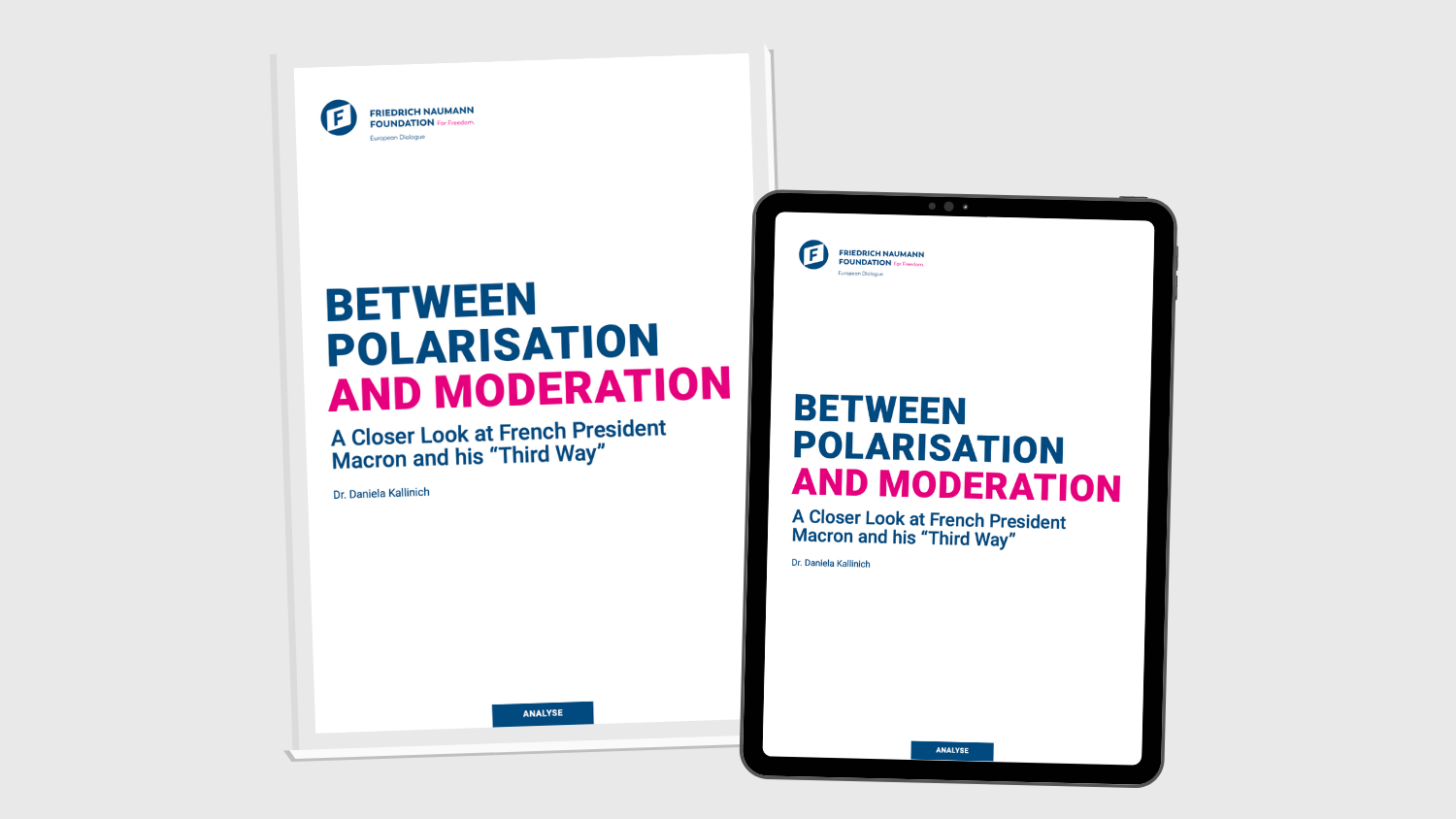 Between Polarisation and Modernisation