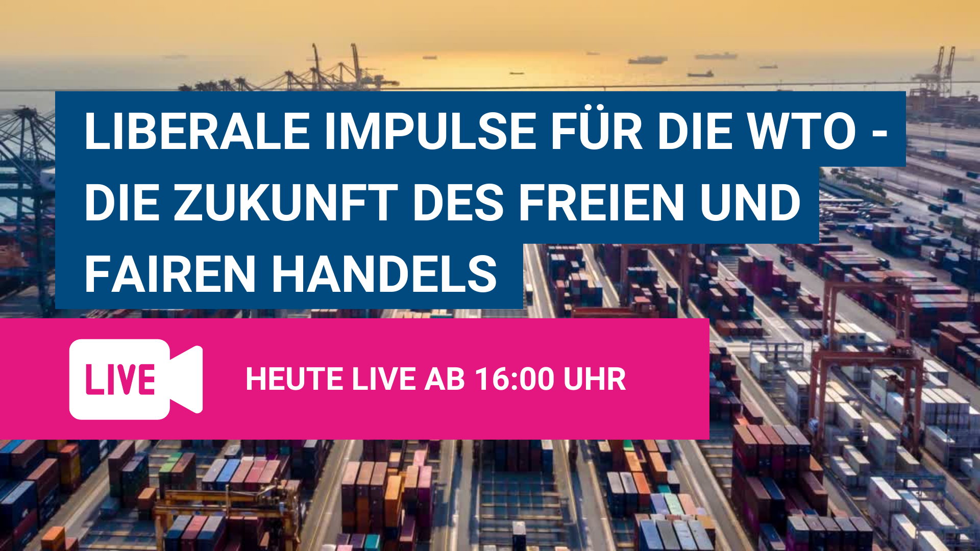 Liberale Impulse für die WTO - die Zukunft des freien und fairen Handels