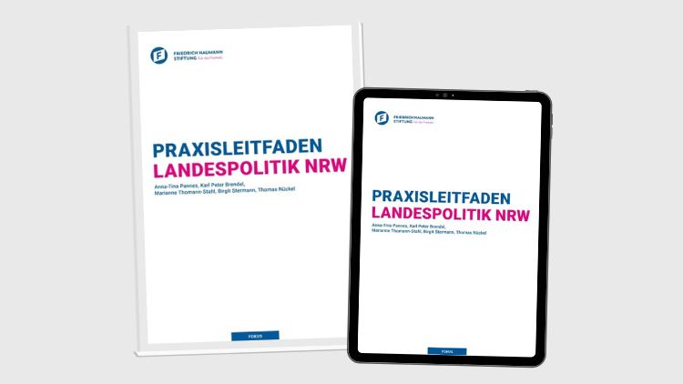 Praxisleitfaden Landespolitik NRW