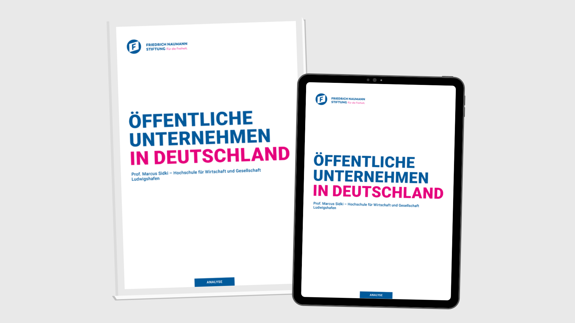 mockup-publikation-offentliche-unternehmen1.png