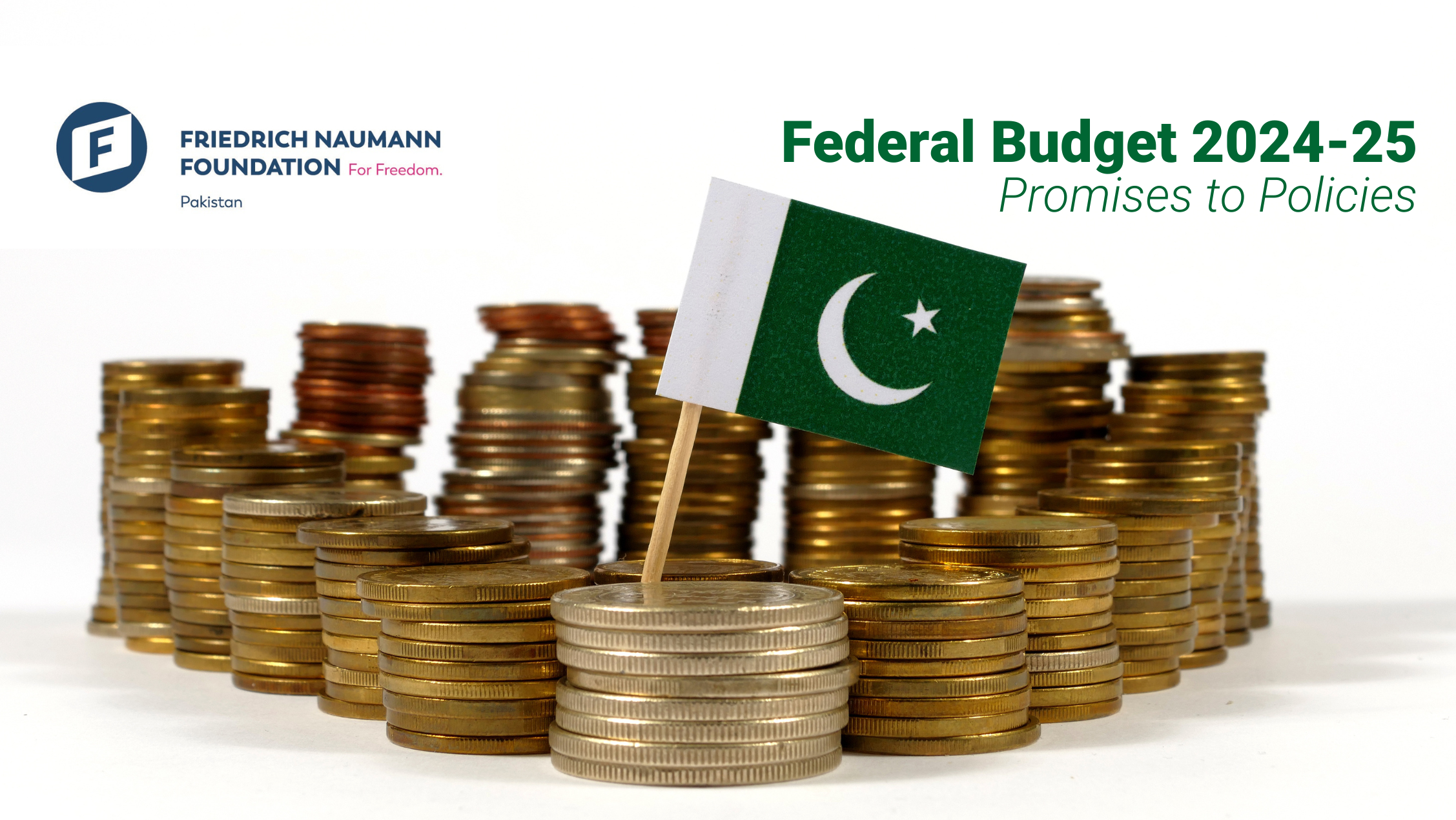 Pakistan Federal Budget 2024-25 Aneel Salman