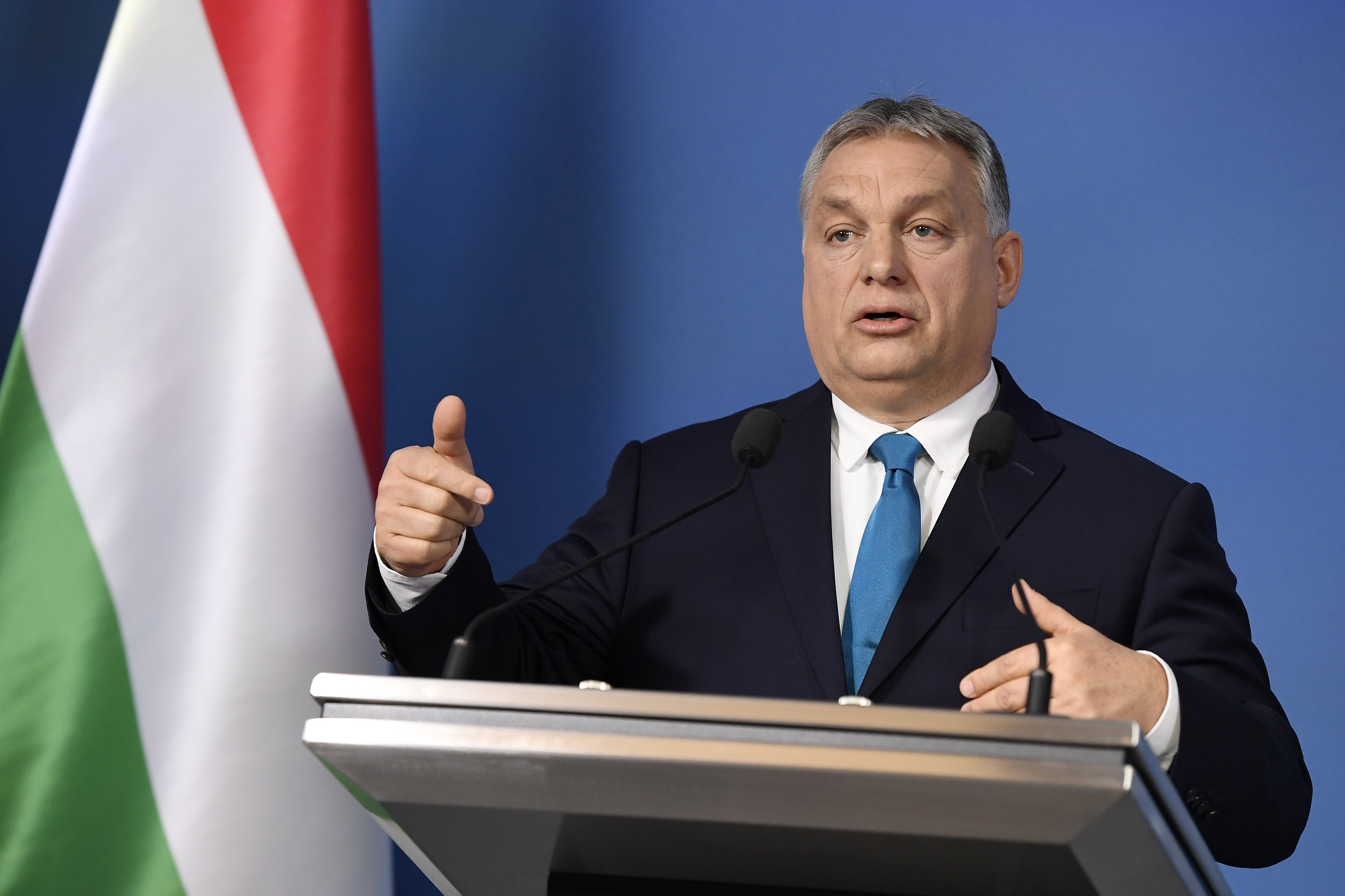 What will shape Hungarian politics in 2019? 