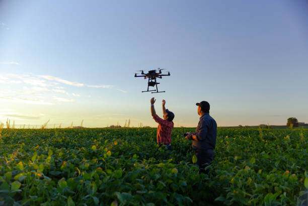 Digitalize Food Systems: Planting the Seeds for a Better Future ...