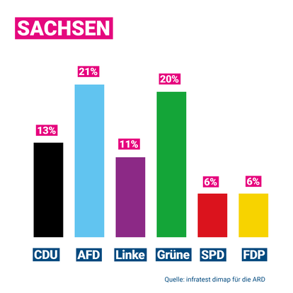 Gesellschaft: Interview: Warum Wählen Junge Leute Die AfD?