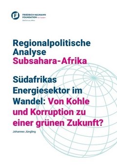 Südafrikas Energiesektor im Wandel