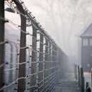  Stacheldrahtanlage des früheren Konzentrationslagers Auschwitz