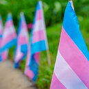 Transgender flags