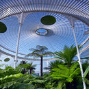 Das "Palmhouse" im Botanischen Garten Glasgow