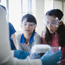 A photo of curious students looking at scientific experiment. 