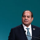  Abdel-Fattah El-Sisi 