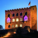 Veranstaltungsort war das Hambacher Schloss in Neustadt an der Weinstraße