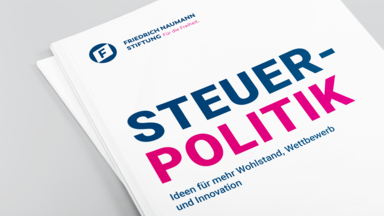 Publikation Steuerpolitik