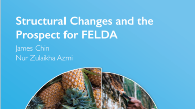 Structural Changes and the Prospect for FELDA 