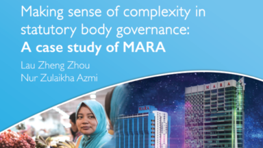 Making Sense of Complexity in Statutory body gov : A Case of MARA