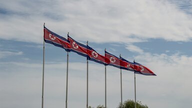north korean flags