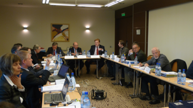 CESE Regional Meeting Held in Sibiu
